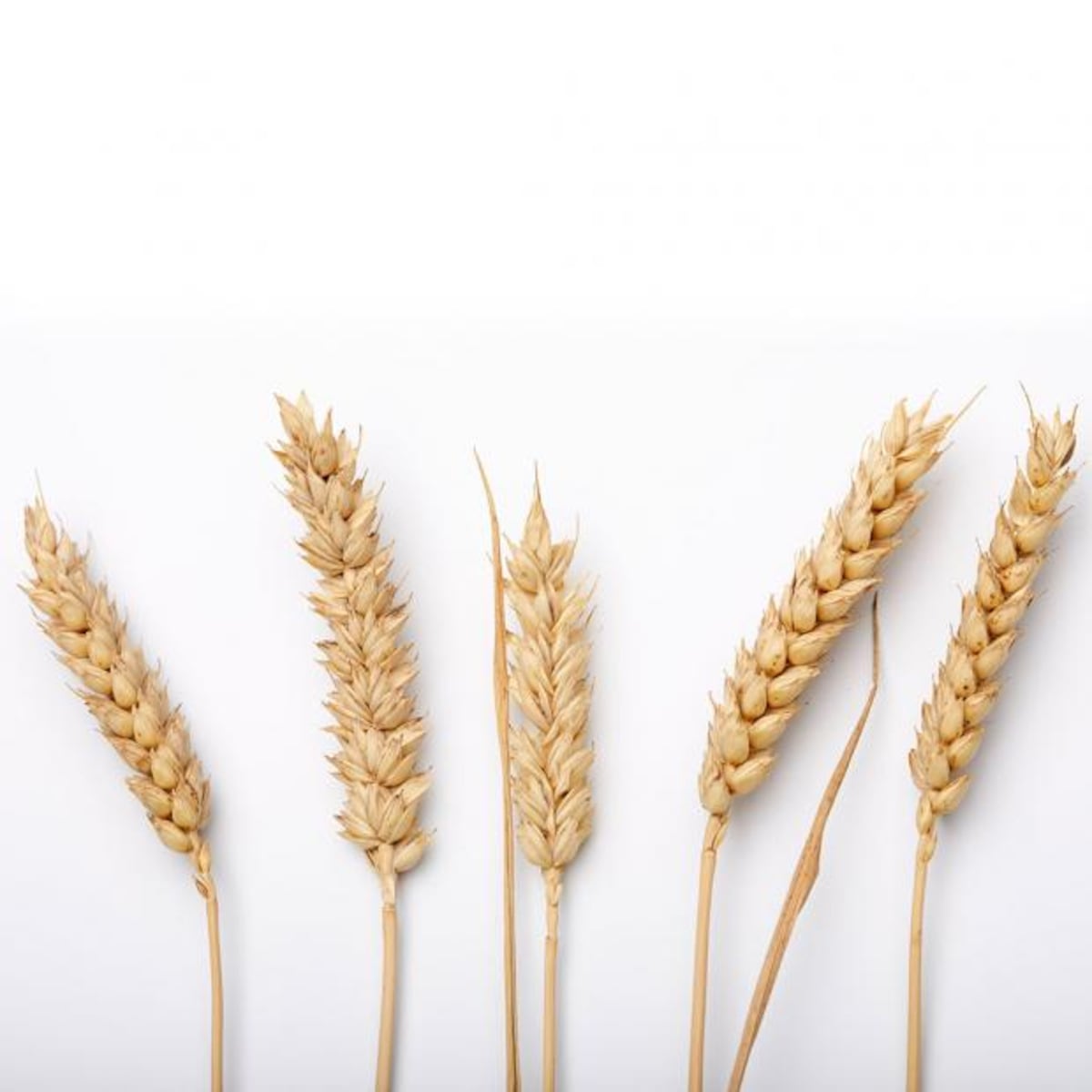 Los riesgos de una dieta sin gluten para las personas sanas