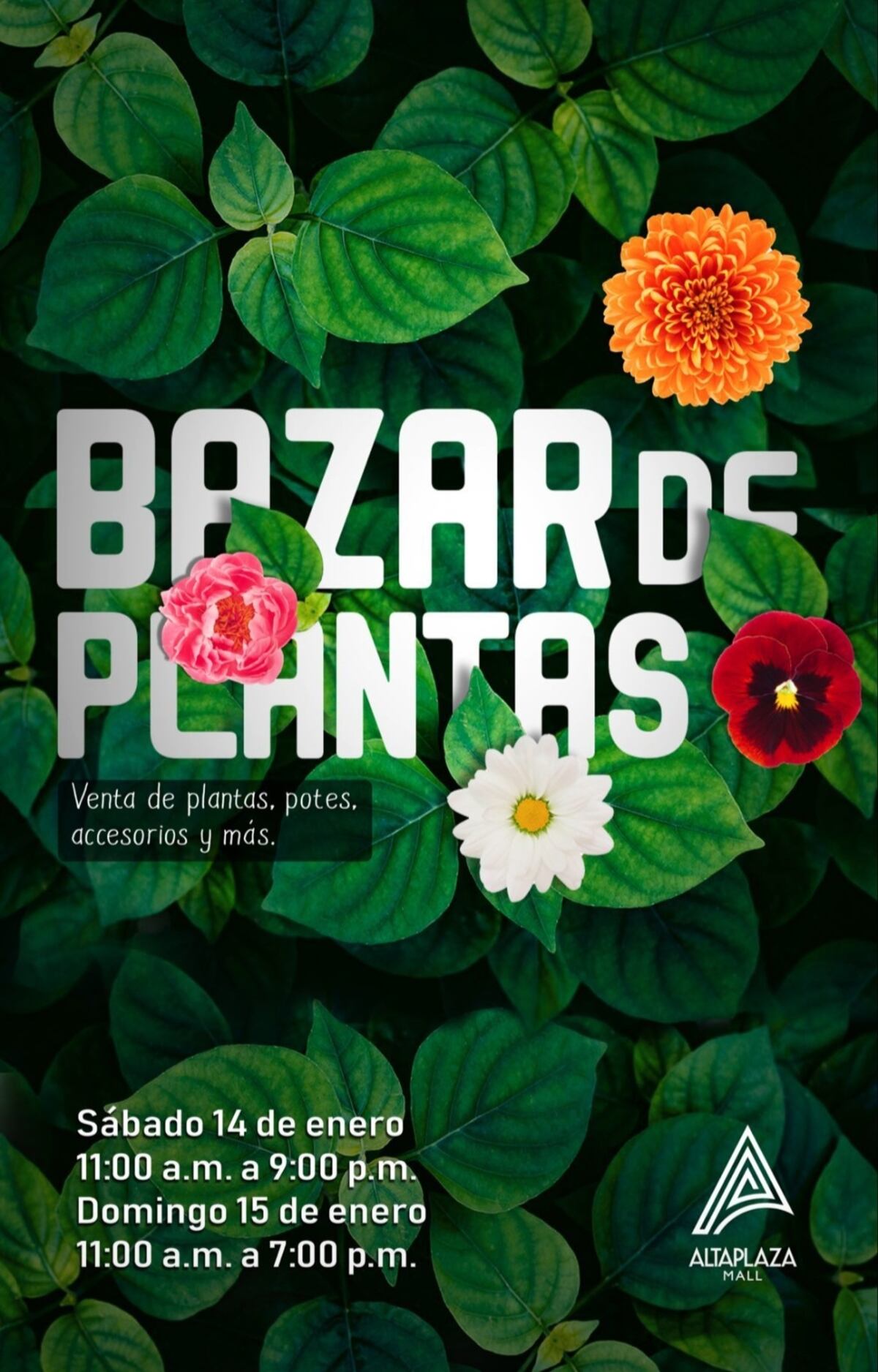 Actividades (algunas gratis) para hacer en verano en Panamá