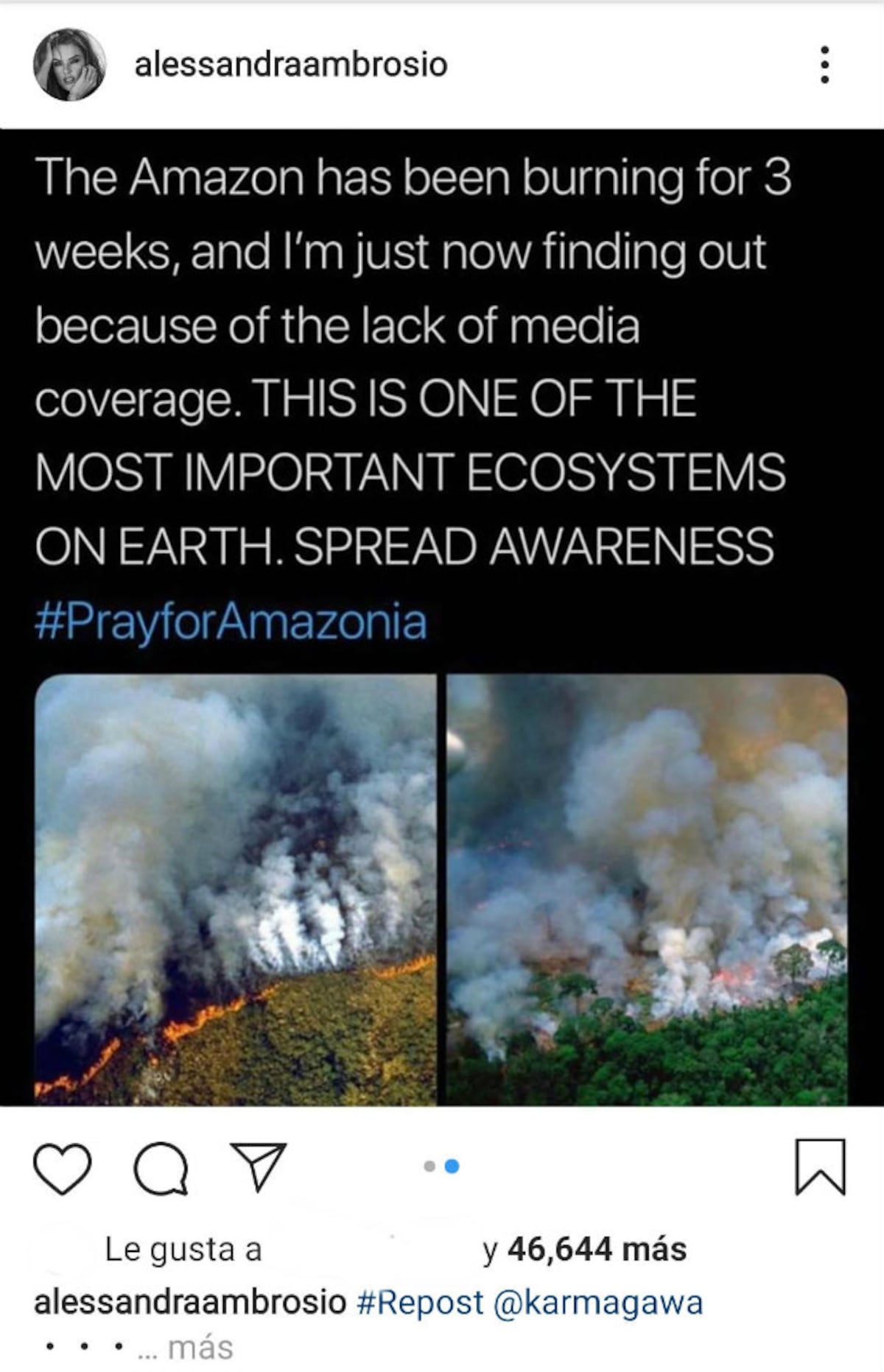 Leonardo DiCaprio y otras celebridades alzan su voz a favor del Amazonas