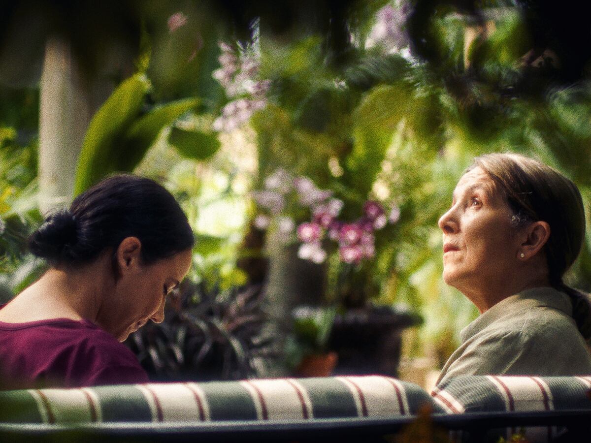 La travesía de ‘Querido Trópico’: la película panameña que triunfa en el mundo